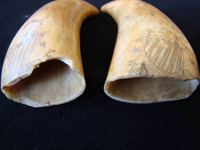 A pair of 19th century scrimshawed whales' teeth dating to 1869 — image 6